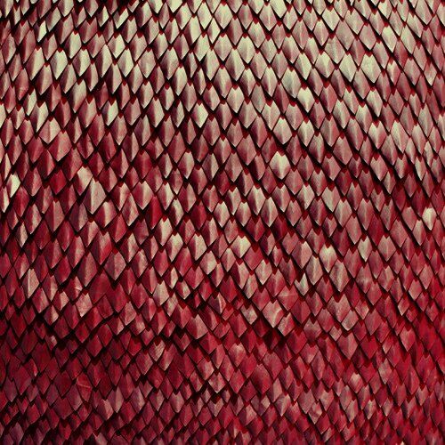 Kill The Vultures Carnelian (CD)