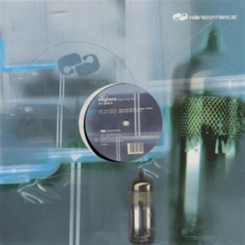 10 Years Anniversary 6 - Baghera (Vinile)