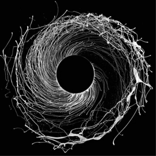Dawn of Midi Dysnomia (Vinyl LP) 12" Album (Limited Edition)