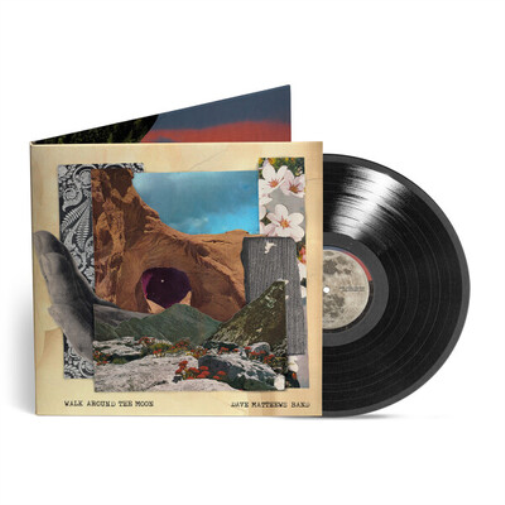 Dave Matthews Band Walk Around The Moon (Vinyl LP)