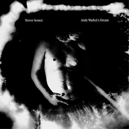 Trevor Sensor Andy Warhol's Dream (CD) Album