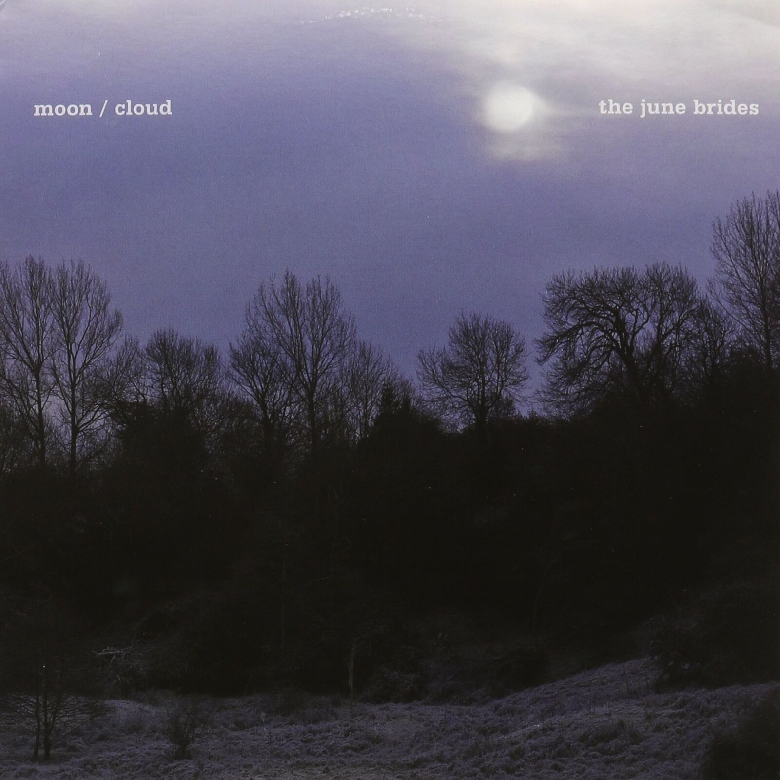 The June Brides A January Moon (Vinyl LP)