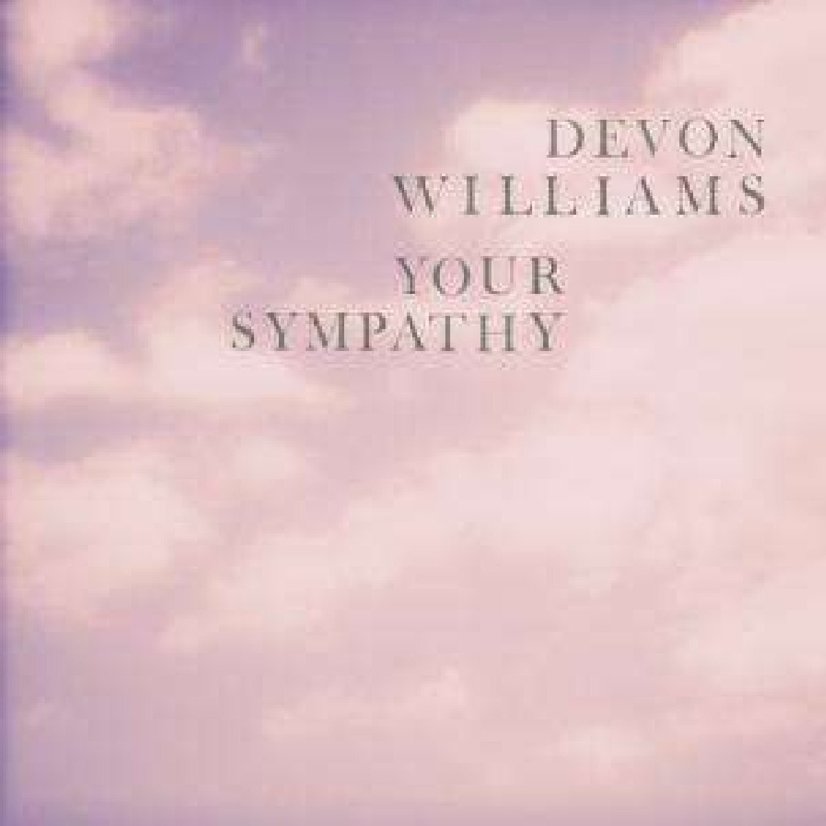 Devon Williams Your Sympathy (Vinyl LP)