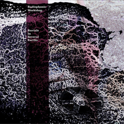 The Radiophonic Workshop Burials in Several Earths (Vinyl LP) 10" Album