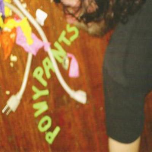 Pony Pants Till Death Do Us Party (CD) Album