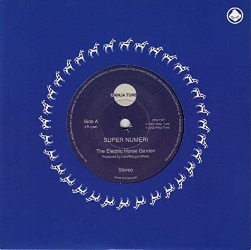 SUPER NUMERI Electric Horse Garden (Vinyl LP)