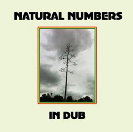 Natural Numbers Natural Numbers in Dub (Vinyl LP) 12" Album