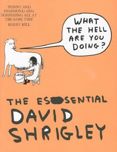 What the Hell Are You Doing?: The Essential David Shrigley by David Shrigley