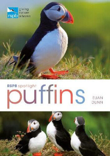 RSPB Spotlight: Puffins by Dunn, Euan