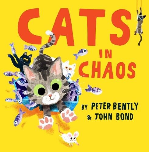 Peter Bently Cats in Chaos (Tascabile)