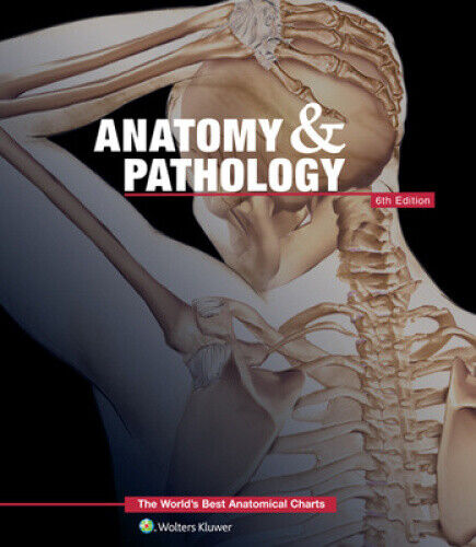 Anatomy & Pathology: The World's Best Anatomical Charts Book (The World's Best