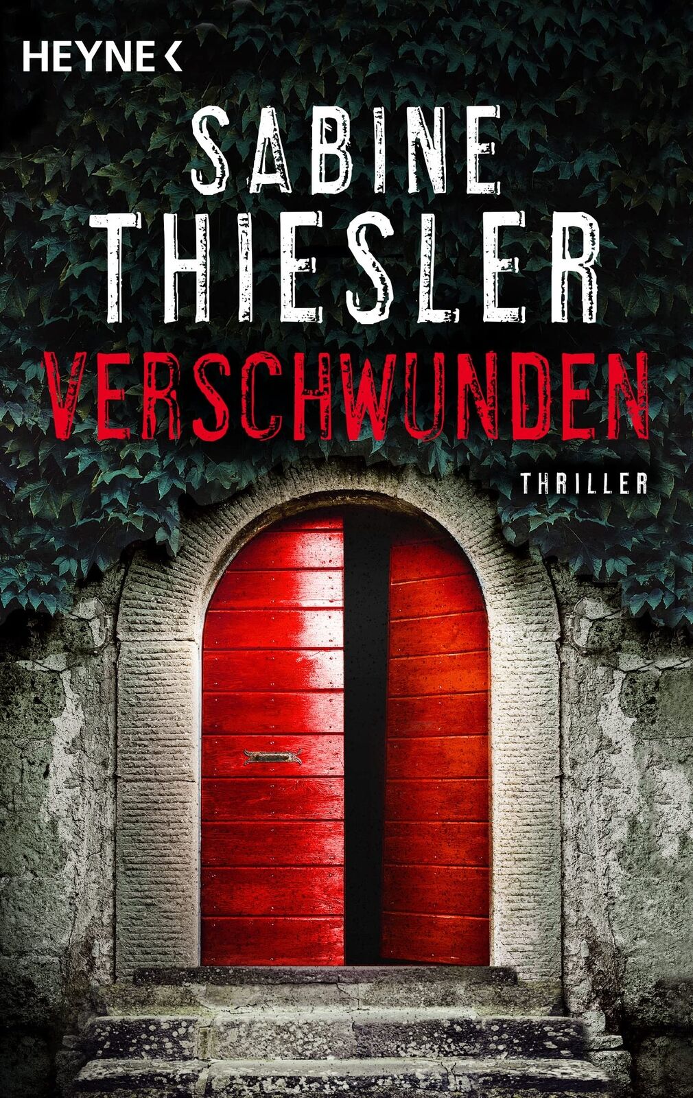 Sabine Thiesler Verschwunden (Tascabile)