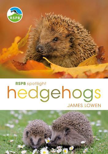 James Lowen RSPB Spotlight Hedgehogs (Tascabile) RSPB