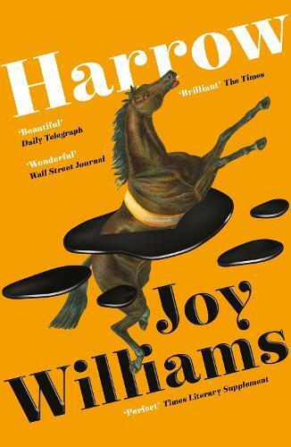 Joy Williams Harrow (Tascabile)