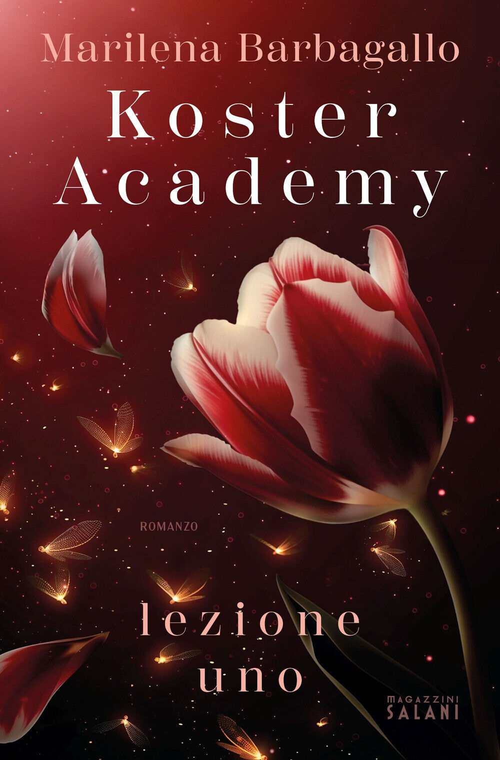 Koster Academy. Lezione uno - Barbagallo Marilena