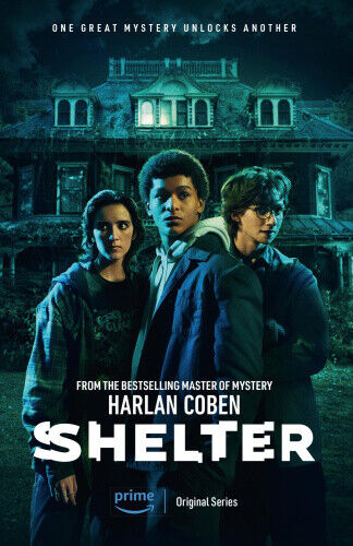 Shelter: A gripping thriller from the #1 bestselling creator of hit Netflix