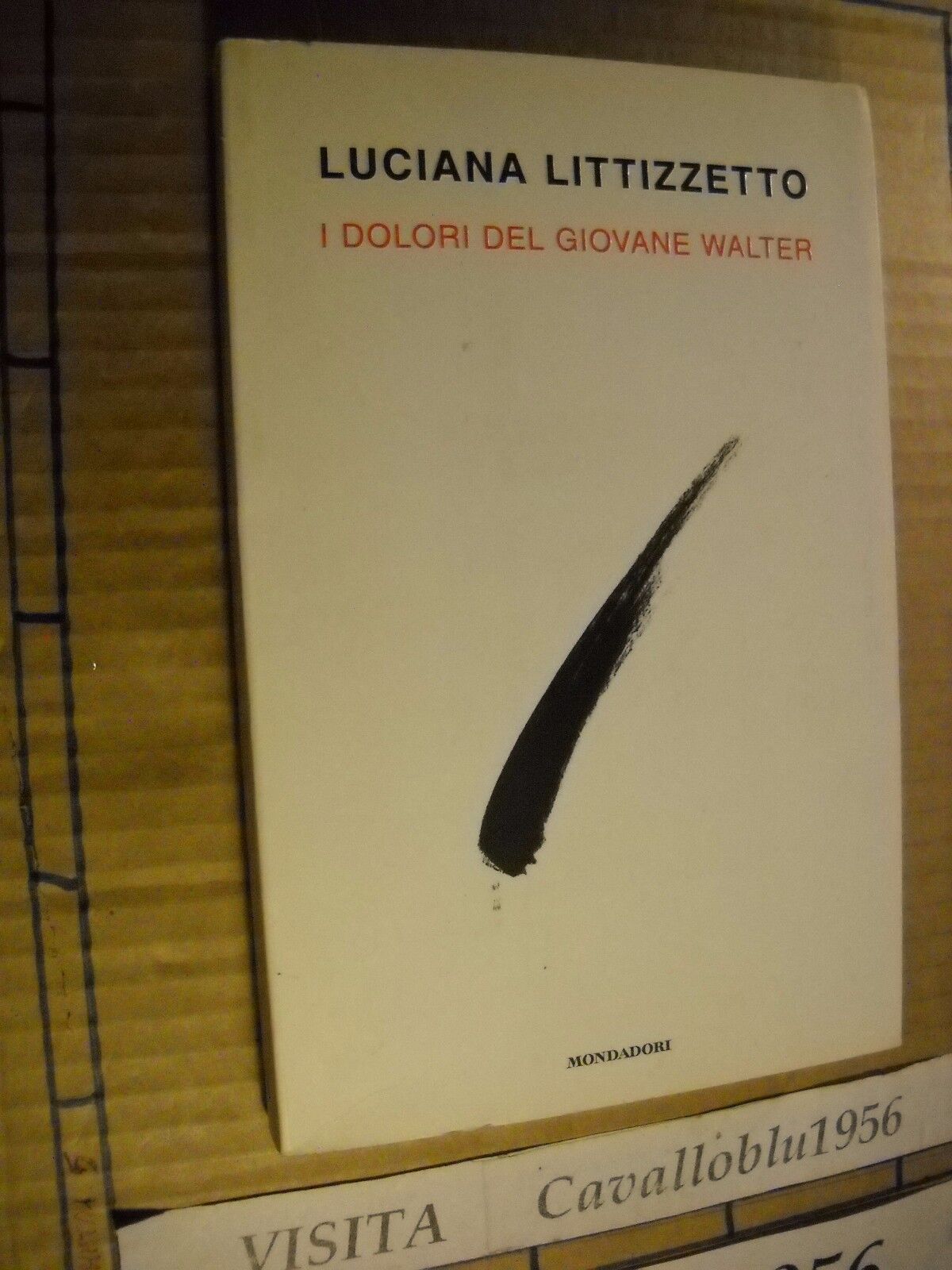 LIBRO - I DOLORI DEL GIOVANE WALTER - LITTIZZETTO - 1° ED. MOND. 2010 - NUOVO MA