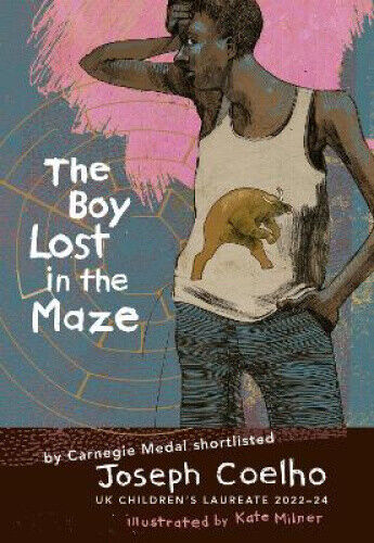 The Boy Lost in the Maze by Coelho, Joseph