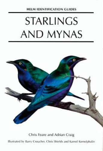 Starlings and Mynas (Helm Identification Guides) by Adrian Craig