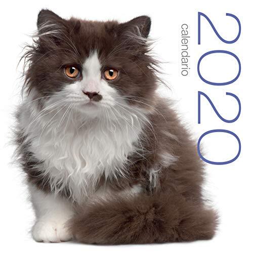 9788854042261 Gatti. Calendario 2020 da muro - EDIZIONI WHITE STAR