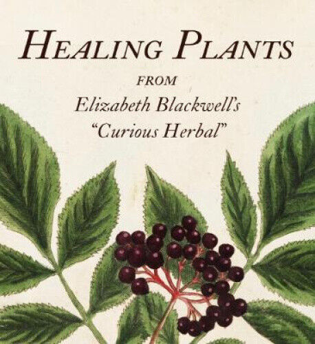 Healing Plants: From Elizabeth Blackwell's a Curious Herbal (Tiny Folio)