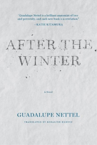 Guadalupe Nettel After the Winter (Tascabile)