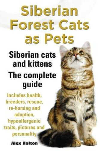Siberian Forest Cats as Pets. Siberian cats and kittens. Complete Guide