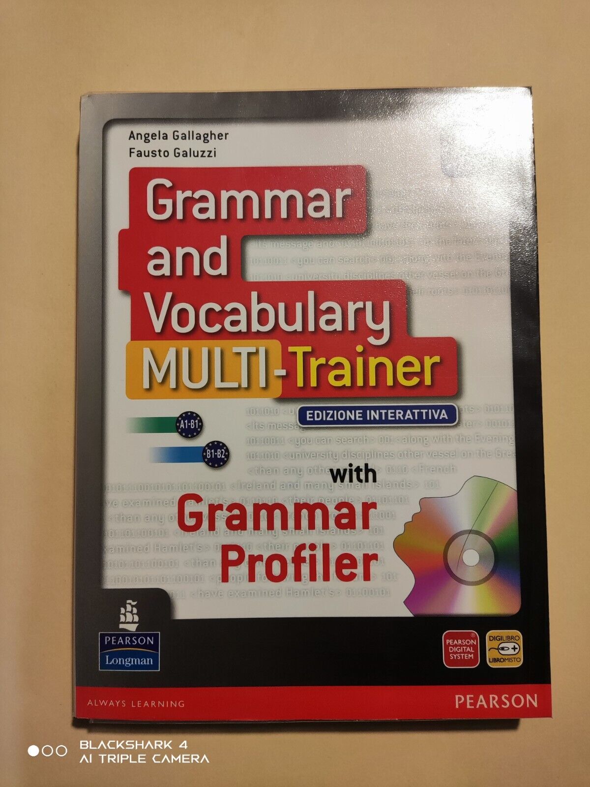Grammar and Vocabulary MULTI-Trainer