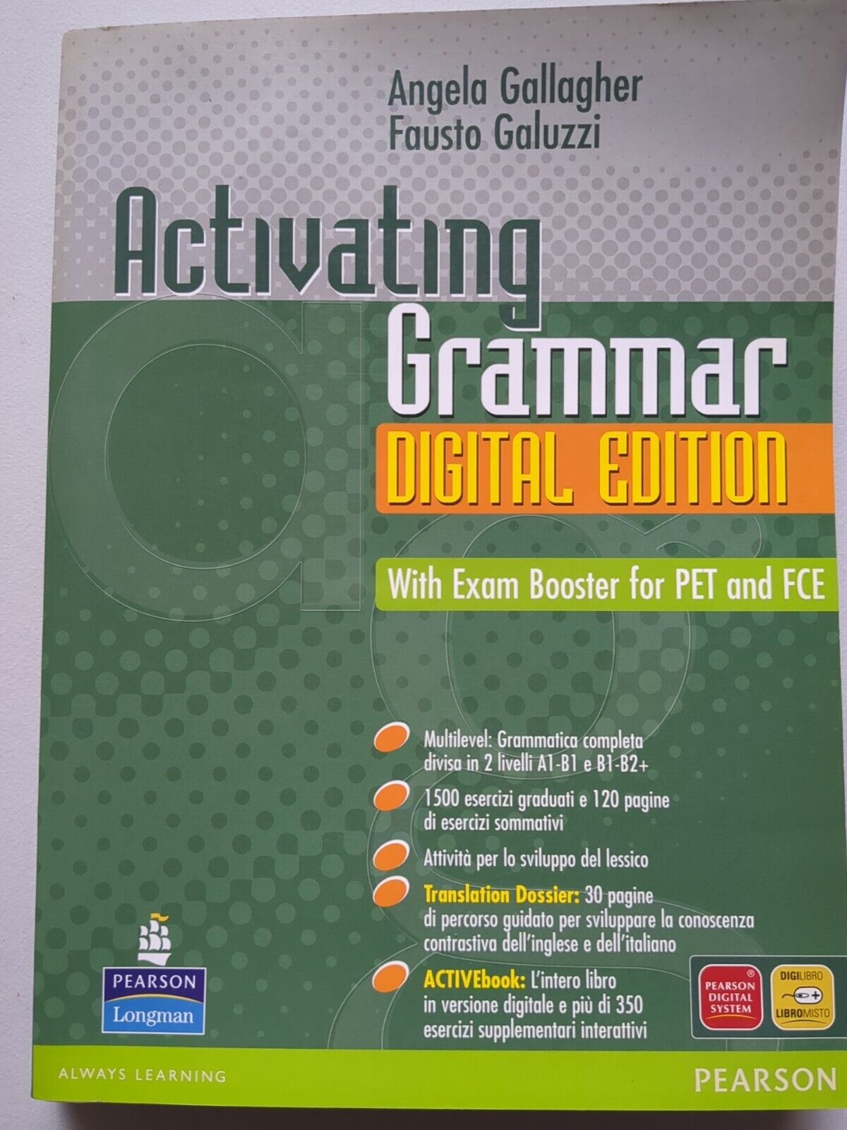 activating grammar digital edition: gallagher angela, galuzzi fausto