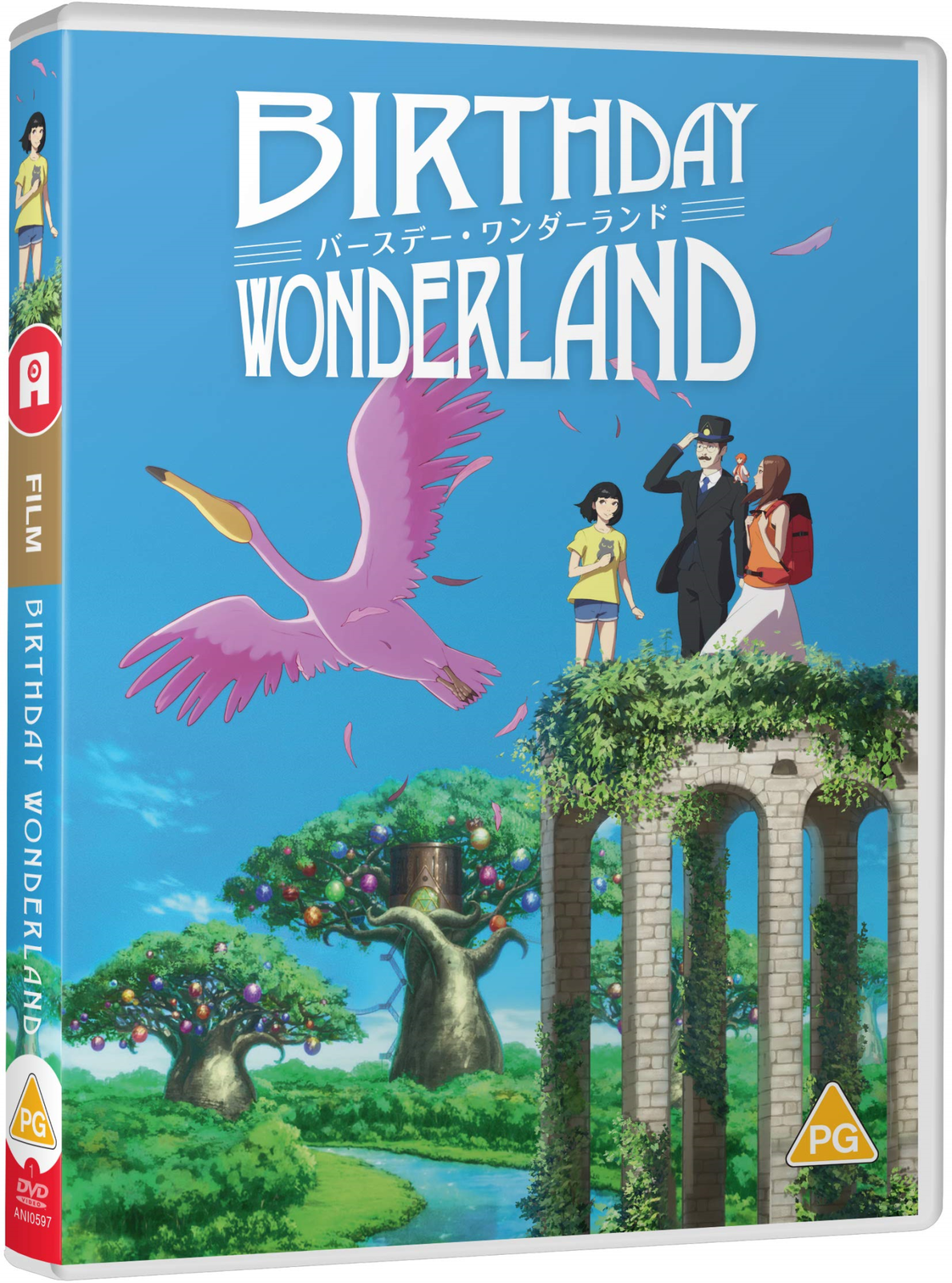 Dvd Birthday Wonderland [Edizione: Regno Unito]