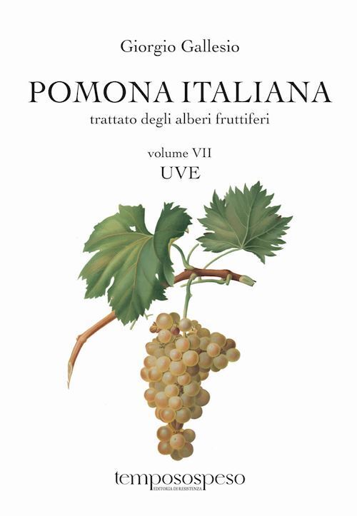 POMONA ITALIANA OSSIA TRATTATO DEGLI ALBERI FRUTTIFERI. VOL. 7: UVE  - GALLESIO