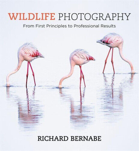 Wildlife Photography: An Expert Guide by Bernabe, Richard