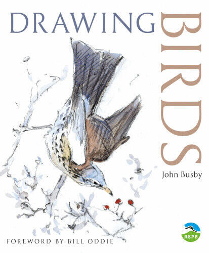 Drawing Birds (RSPB) by John Busby