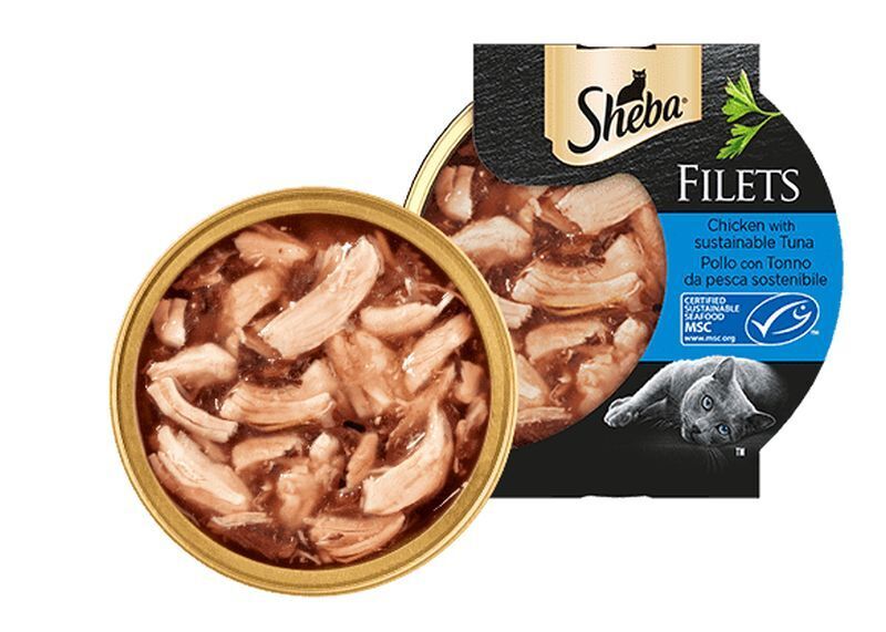 Sheba Gatto Filets Lattina 60gr Pollo con Tonno da pesca sostenibile
