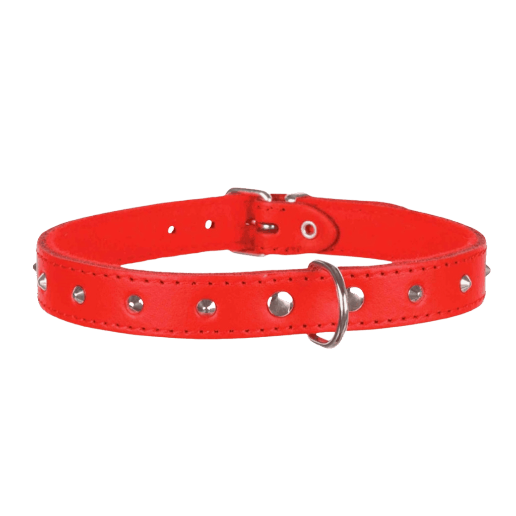 Trixie Collare in cuoio con borchie