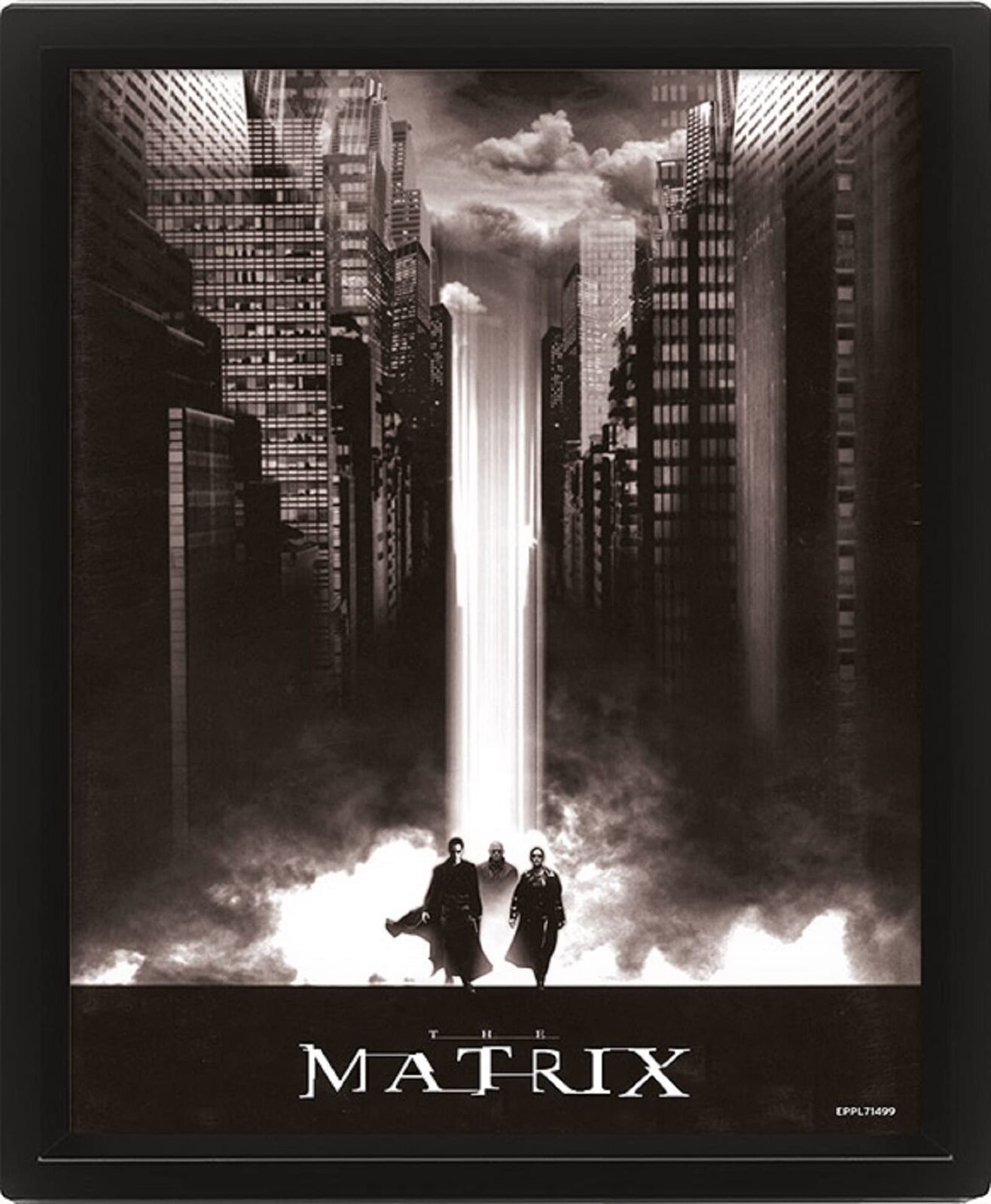 Pyramid International The Matrix Poster in 3D, poster lenticolare da parete con