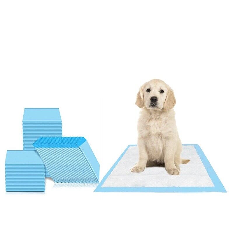 90 Tappetini igienici per cani 60x60 Assorbenti 5 STRATI Traverse Cuccioli