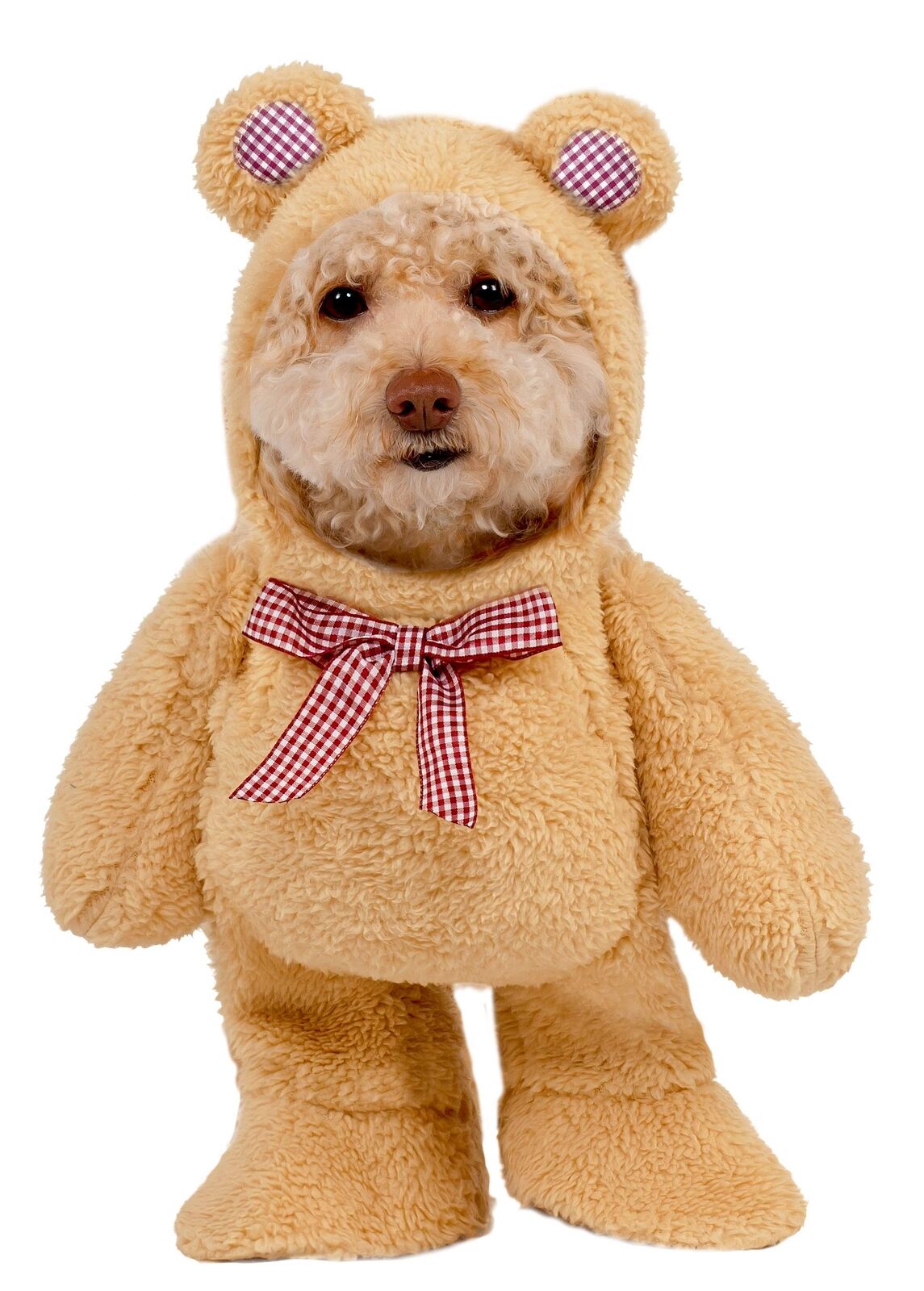 Costume ufficiale Rubie's Walking Teddy Bear Pet - Taglia XL Multi XL