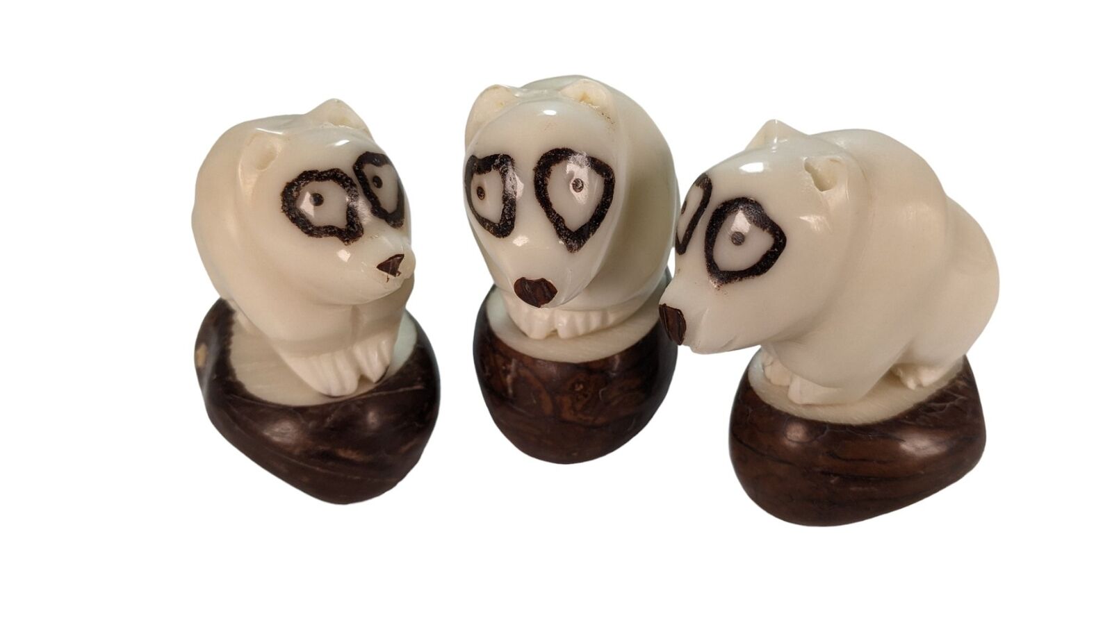 1 X Fiera Trade Ecuador Tagua Intaglio Vegano Avorio Dagli Occhiali Orso