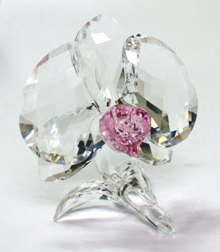 Swarovski SCS Crystal Orchid 2018 Orchid 5301562 Nuova Nuova Scatola Originale