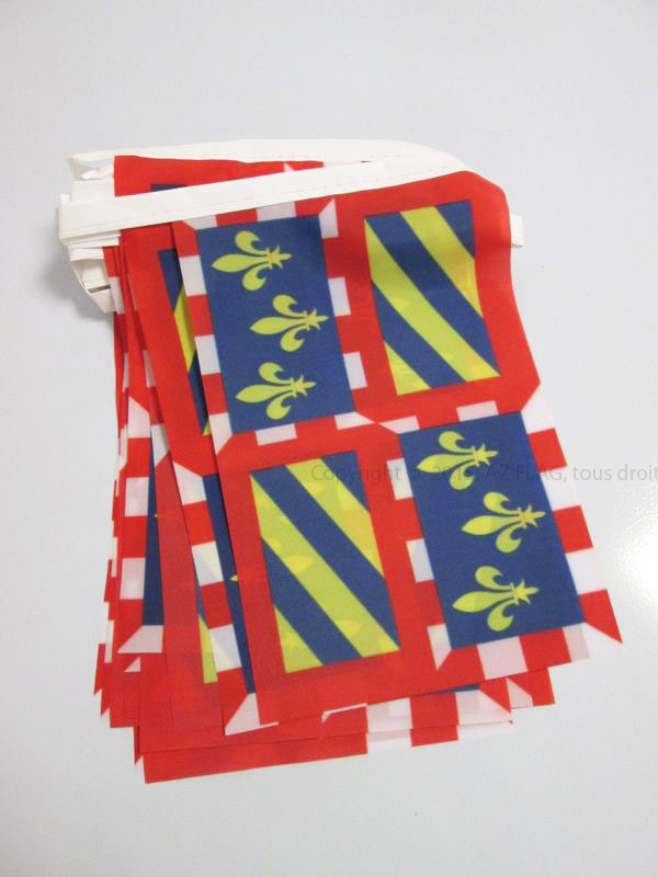 GHIRLANDA 6 metri 20 BANDIERE BORGOGNA 21x15cm - BANDIERA BOURGOGNE IN FRANCIA 1