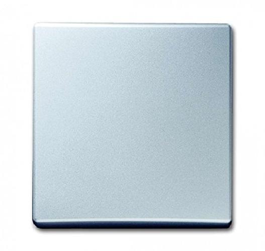 Busch Jaeger 2106 33 Wippe, alusilber, Allwetter IP44