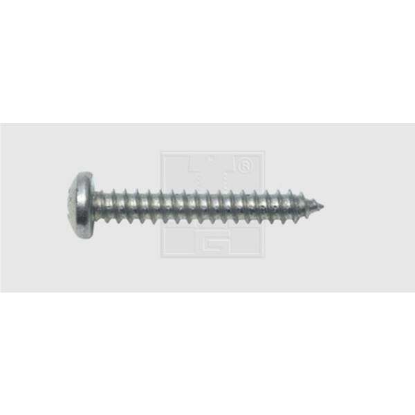 Swg vite per lamiera 3.9 mm 19 a croce philips din 7981 acciaio zincato 100