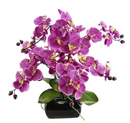 Flair Orchidea Finta, Fiore Finto di Seta, con Foglie, boccioli e Radici (r1O)