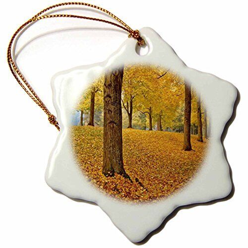3dRose USA, Oregon, Portland, American Linden Trees in Autunno Colori a Forma di
