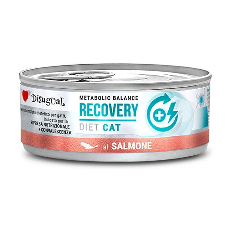 Disugual Gatto Dieta Recovery 85gr Salmone