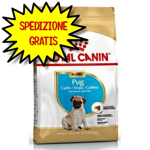 ROYAL CANIN CANE PUG CARLINO PUPPY 500 G