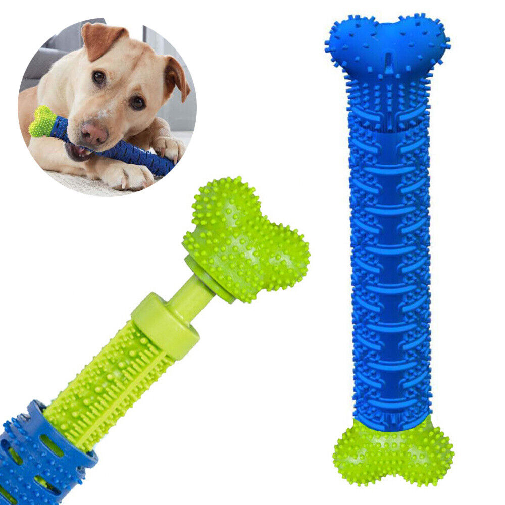 Spazzolino da Denti per Cane Gioco Giocattolo Cuccioli Cane Pulizia Igiene Orale