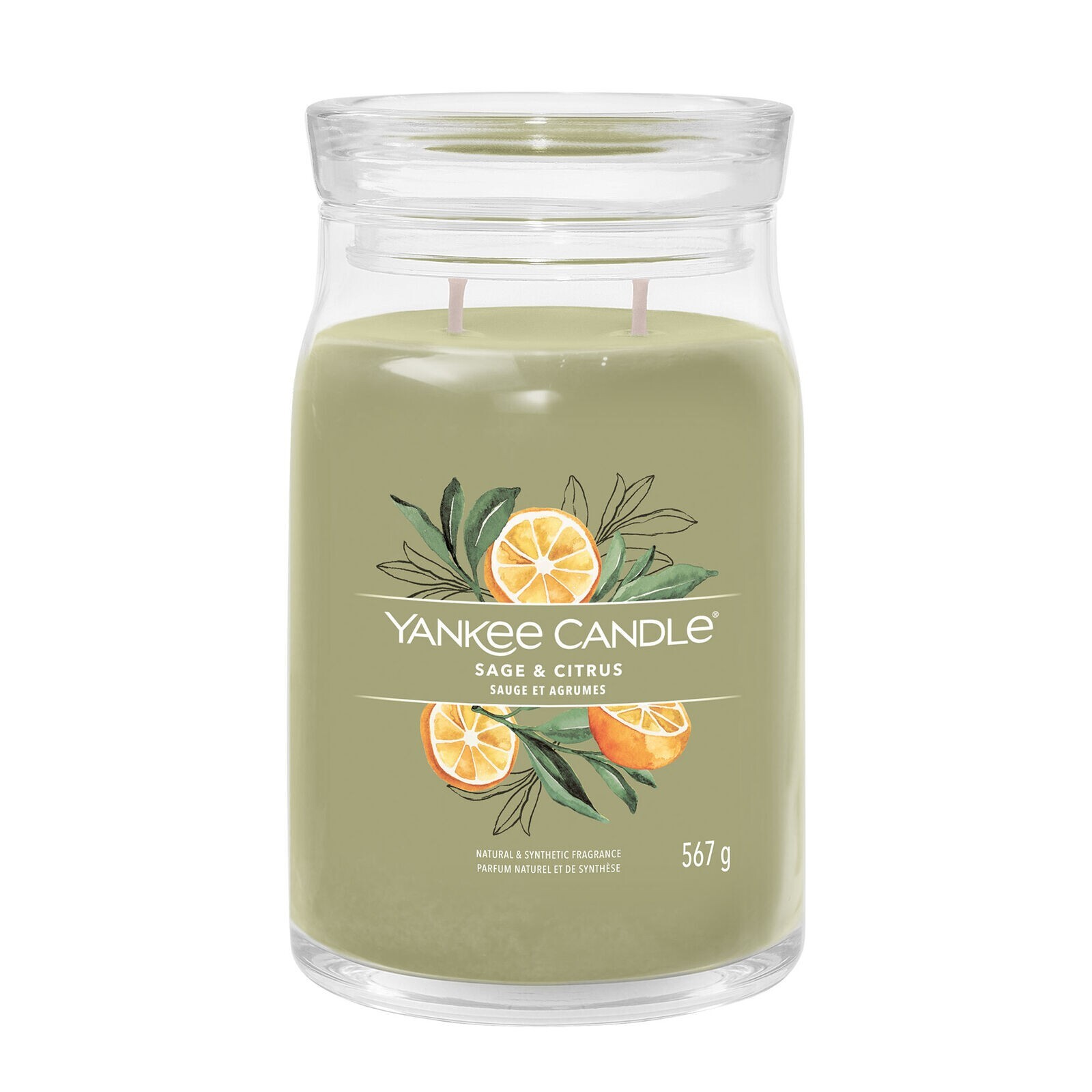 YANKEE CANDLE CANDELA PROFUMATA SIGNATURE JAR GRANDE SAGE & CITRUS GIARA