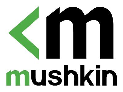 Mushkin Proline DDR4 module 16 GB DIMM 288-pin 2133 MHz / PC4-17000 992212